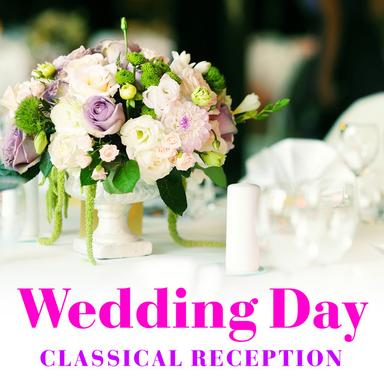 Concerto for Viola, Orchestra and b.c. in G Major, TWV 51:G9, I. Largo