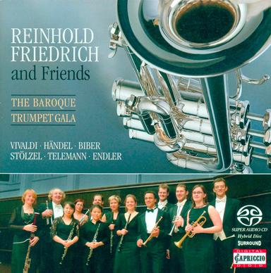 Concerto for 2 Trumpets in C Major, Op. 46 No. 1, RV 537: II. Largo