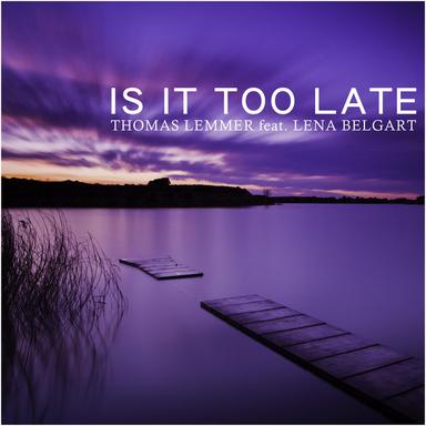 Is It Too Late - Radio Mix