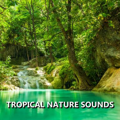 Eloquent Outdoor Nature Sounds