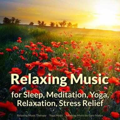 Relaxing Music to Focus