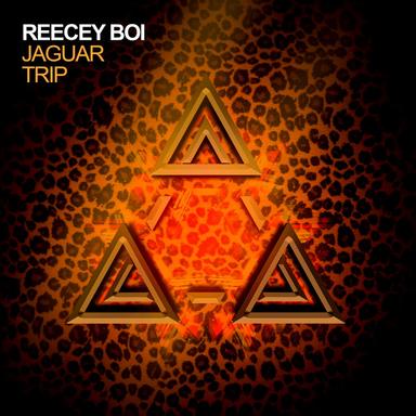 Jaguar Trip - Original Mix