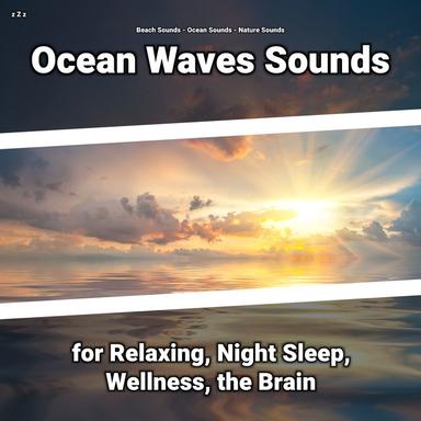 Peaceful Ocean Waves