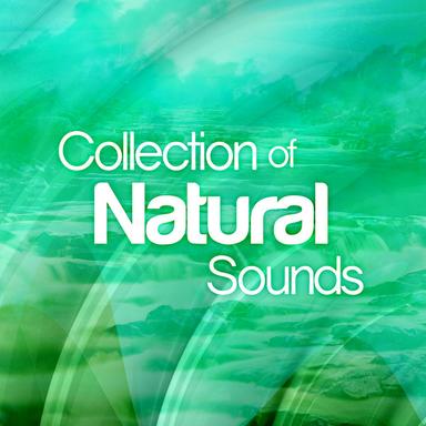 Thunderstorm with Rain Falling onto Surface