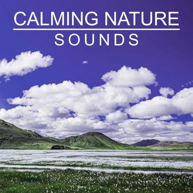 Soothing Sounds