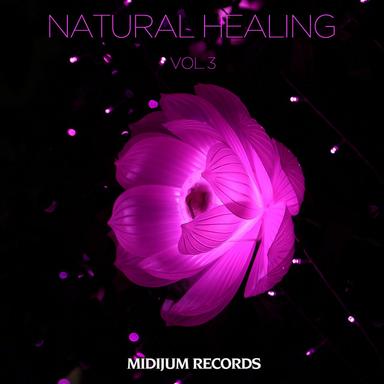 Natural Healing, Vol. 3