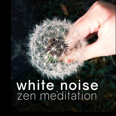 White Noise: Channels