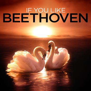 String Quartet No. 14 in D Minor, D. 810, "Death and the Maiden": III. Scherzo: Allegro molto