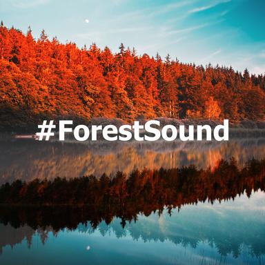#ForestSound