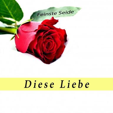 Rein und tadellos