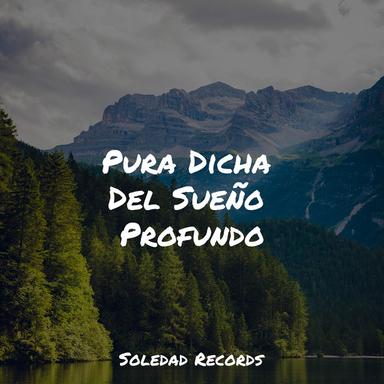 Vientos Del Tiempo