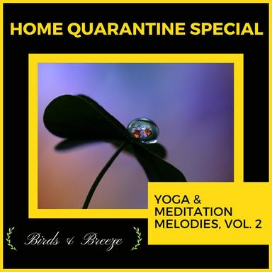 The Special Bond - Original Mix