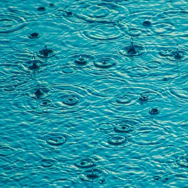 Rain Hitting Conservatory Roof(Loopable, no fade)