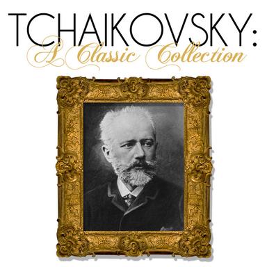 The Sleeping Beauty Suite, Op. 66a: III. Characteristic Dance