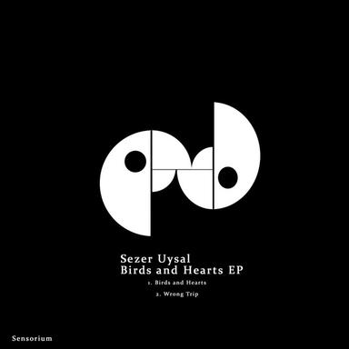 Wrong Trip - Original Mix