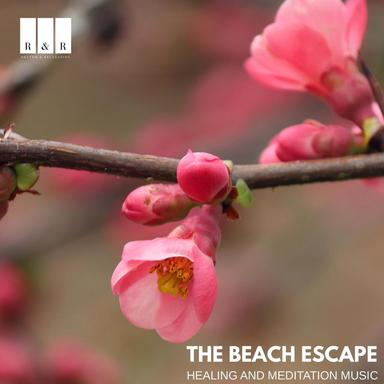 Heading to Nirvana Land