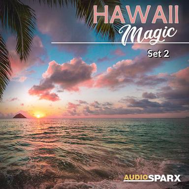 Hawaii Magic, Set 2