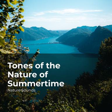 Silent Magical Forest