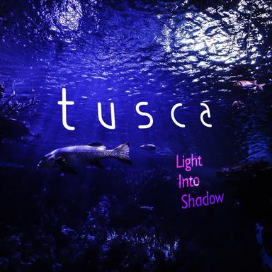 Light Into Shadow