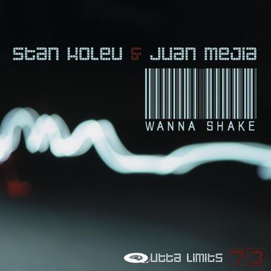 Wanna Shake - Original Mix