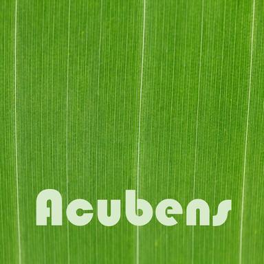 At the House On Sunset