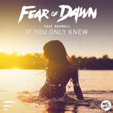 If You Only Knew (Terace Remix)