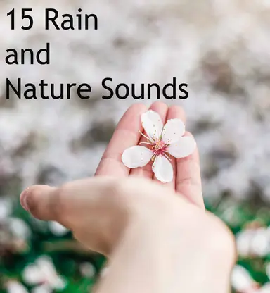 Wave Sounds to Help You Sleep