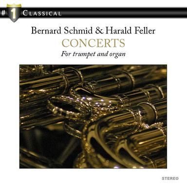 Sonata in D Major for Trumpet and Organ: III. Allegro