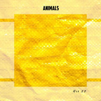 Quiet City - Edit Cut