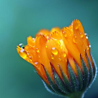 Rainy Day Rhapsody