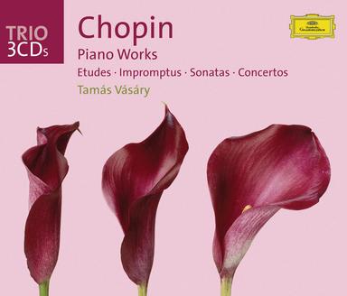 12 Etudes, Op. 25: No. 11 in A Minor "Winter Wind"
