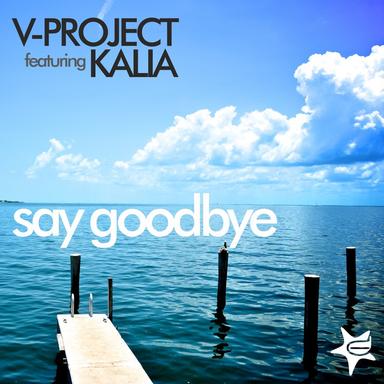 Say Goodbye - EDM Radio