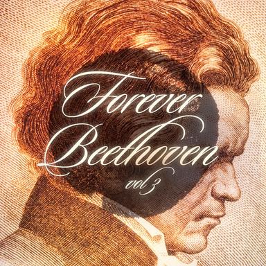 Symphony No. 3 in E Flat Major, Op. 55: III. Scherzo - Allegro Vivace