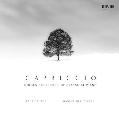 Romances, Op. 21: No. 12, 'How Painful for Me' (Arr. For Solo Piano by A.Schaefer)