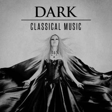 Symphony No. 40 in G Minor, K. 550: IV. Finale, Allegro Assai