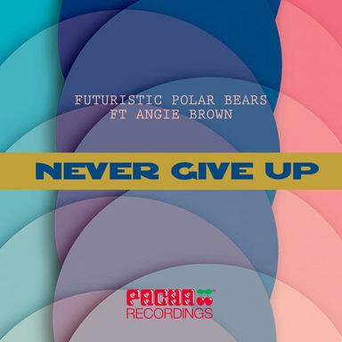 Never Give Up - Peter Brown Remix