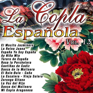 Torero de España