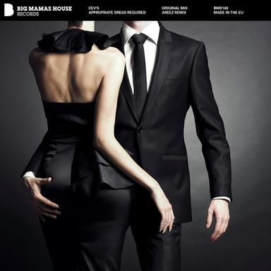 Appropriate Dress Required - Original Mix