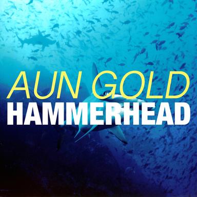 Hammerhead - Original Mix