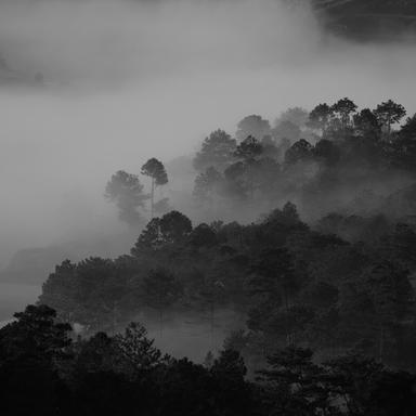 Relaxing Melodies for Peaceful Mind & Relaxation