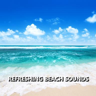 Delightful Bayside Beach Sounds