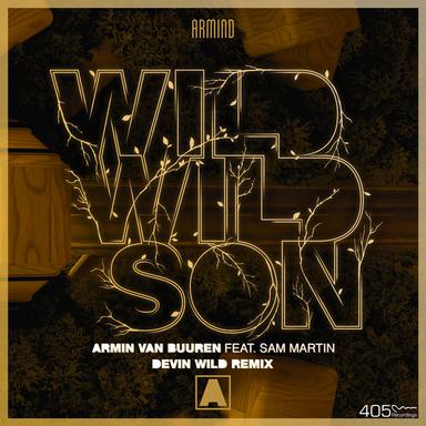 Wild Wild Son (Devin Wild Remix)