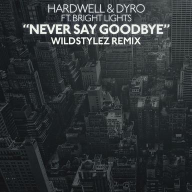 Never Say Goodbye (Wildstylez Remix)