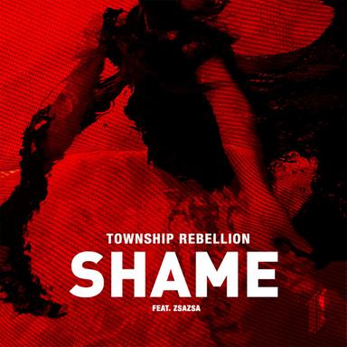 Shame - Radio Edit