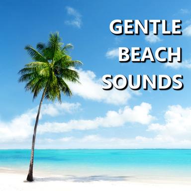 Enrapturing Beach Sounds