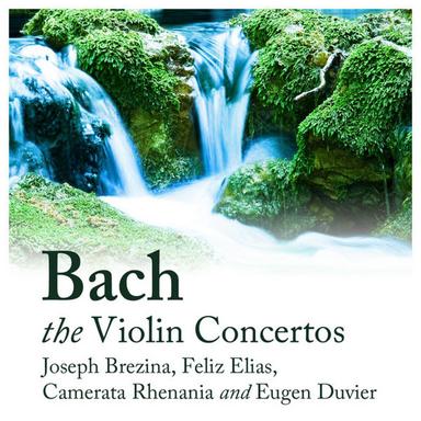 Concerto No. 2 In E Major For Violin And Strings, Bwv 1042: I. Allegro