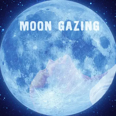 Soothing Night Sounds