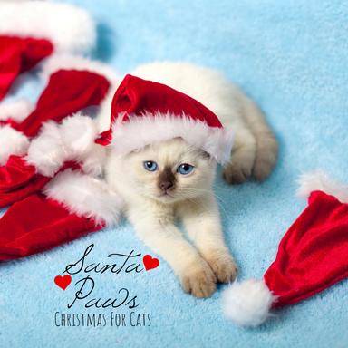 Merry Little Xmas