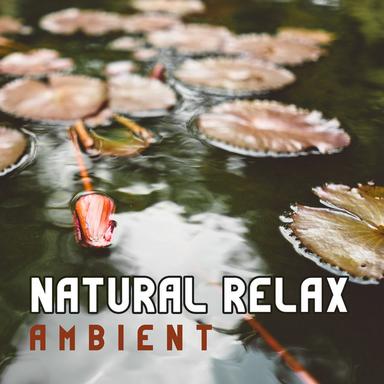 Soothing Nature Sounds