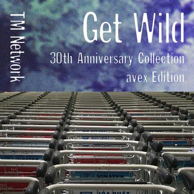 Get Wild - GET WILD MEETS TECHNO STYLE Version